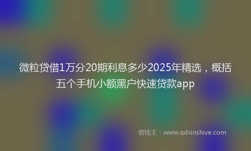 微粒贷借1万分20期利息多少2025年精选，概括五个手机小额黑户快速贷款app