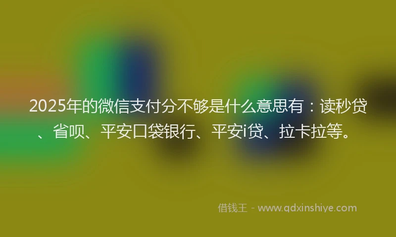 2025年的微信支付分不够是什么意思有：读秒贷、省呗、平安口袋银行、平安i贷、拉卡拉等。
