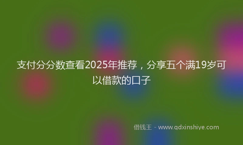 支付分分数查看2025年推荐，分享五个满19岁可以借款的口子