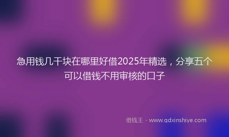 急用钱几干块在哪里好借2025年精选，分享五个可以借钱不用审核的口子