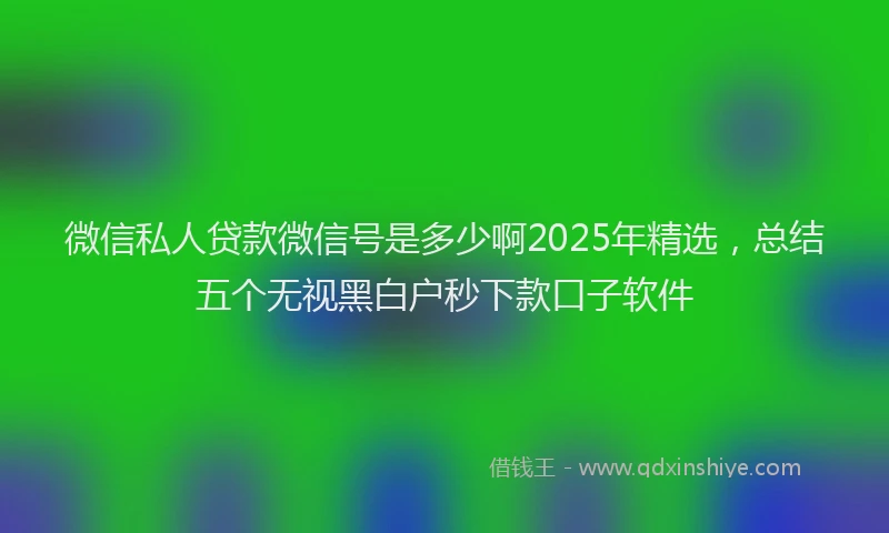 微信私人贷款微信号是多少啊2025年精选，总结五个无视黑白户秒下款口子软件