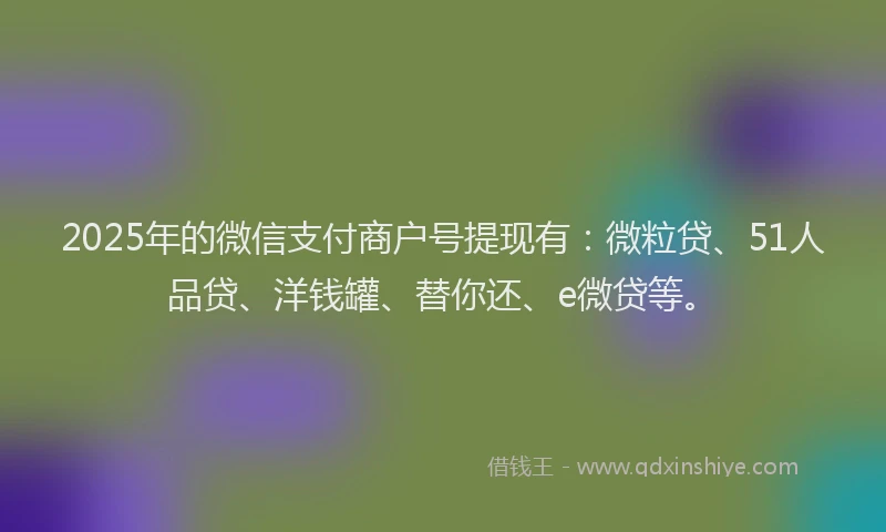2025年的微信支付商户号提现有：微粒贷、51人品贷、洋钱罐、替你还、e微贷等。