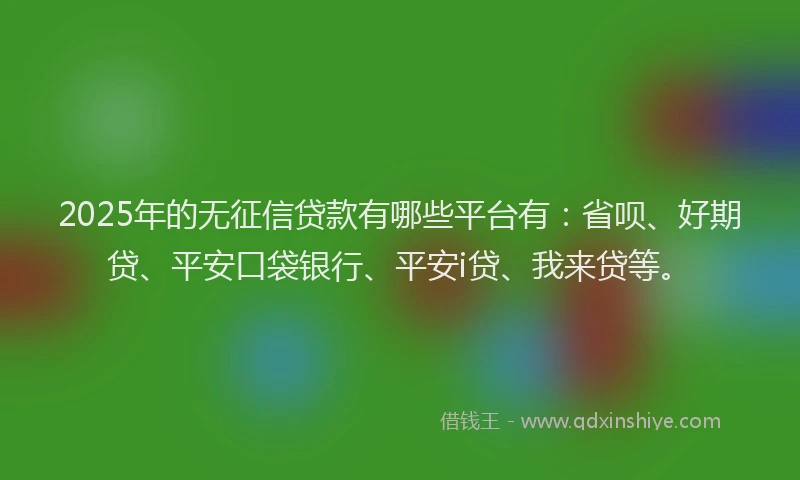 2025年的无征信贷款有哪些平台有：省呗、好期贷、平安口袋银行、平安i贷、我来贷等。