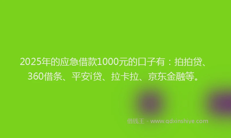 2025年的应急借款1000元的口子有：拍拍贷、360借条、平安i贷、拉卡拉、京东金融等。