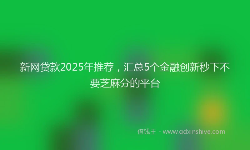 新网贷款2025年推荐，汇总5个金融创新秒下不要芝麻分的平台