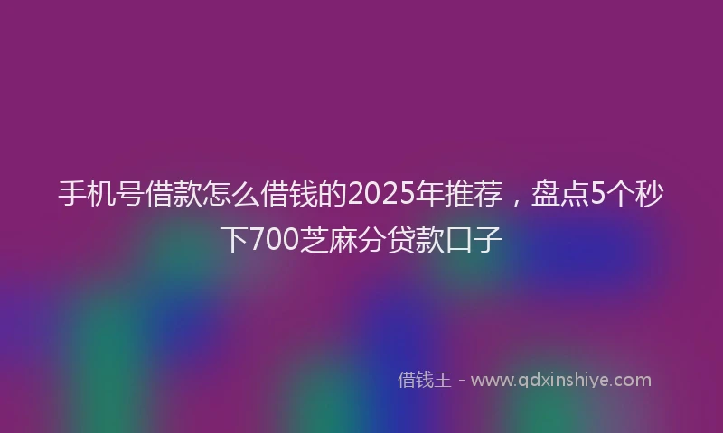 手机号借款怎么借钱的2025年推荐，盘点5个秒下700芝麻分贷款口子