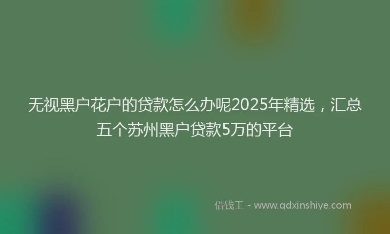 无视黑户花户的贷款怎么办呢2025年精选，汇总五个苏州黑户贷款5万的平台