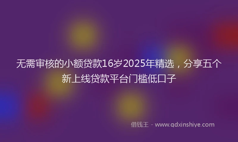 无需审核的小额贷款16岁2025年精选，分享五个新上线贷款平台门槛低口子