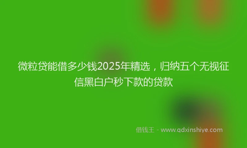 微粒贷能借多少钱2025年精选，归纳五个无视征信黑白户秒下款的贷款