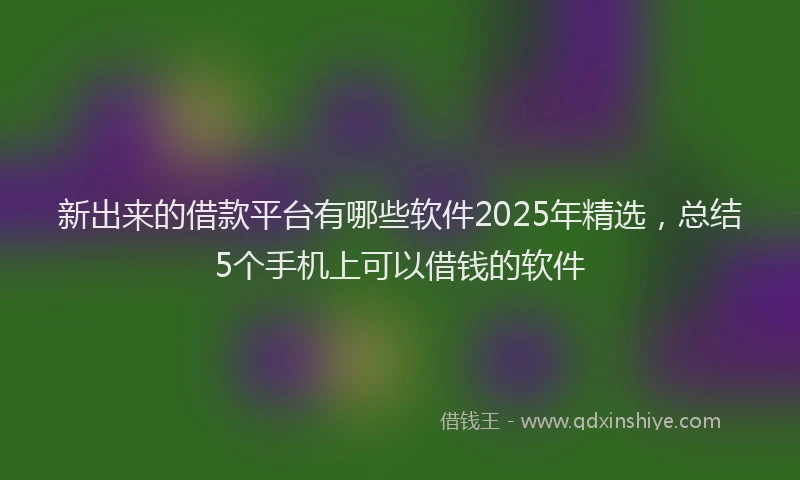 新出来的借款平台有哪些软件2025年精选，总结5个手机上可以借钱的软件