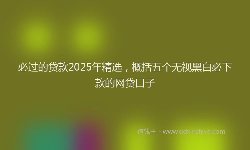 必过的贷款2025年精选，概括五个无视黑白必下款的网贷口子