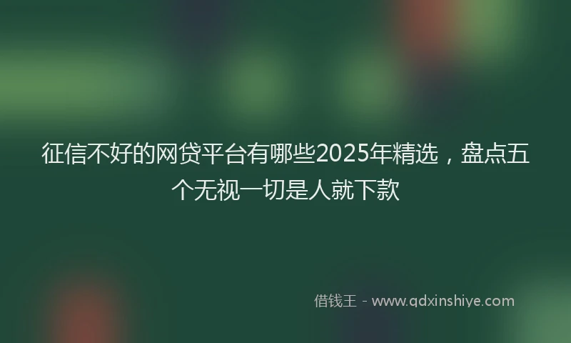 征信不好的网贷平台有哪些2025年精选，盘点五个无视一切是人就下款