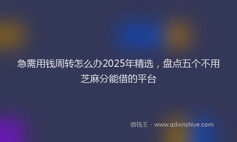 急需用钱周转怎么办2025年精选，盘点五个不用芝麻分能借的平台