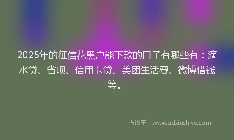 2025年的征信花黑户能下款的口子有哪些有：滴水贷、省呗、信用卡贷、美团生活费、微博借钱等。