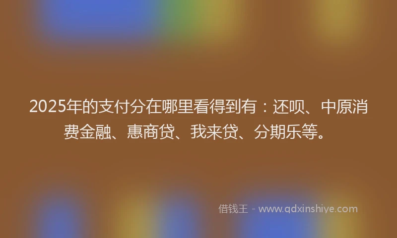 2025年的支付分在哪里看得到有：还呗、中原消费金融、惠商贷、我来贷、分期乐等。