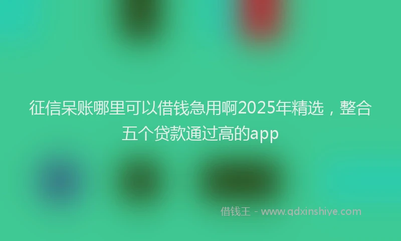 征信呆账哪里可以借钱急用啊2025年精选，整合五个贷款通过高的app