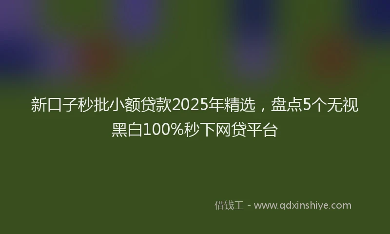 新口子秒批小额贷款2025年精选，盘点5个无视黑白100%秒下网贷平台