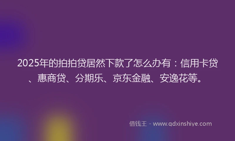 2025年的拍拍贷居然下款了怎么办有：信用卡贷、惠商贷、分期乐、京东金融、安逸花等。