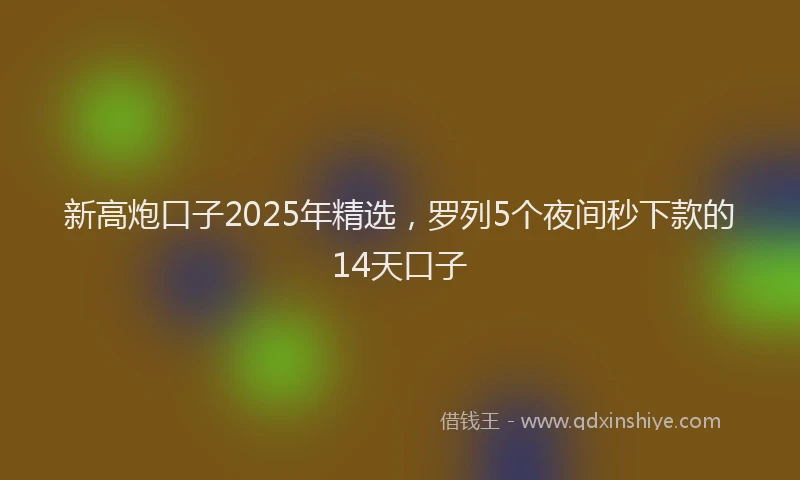 新高炮口子2025年精选，罗列5个夜间秒下款的14天口子