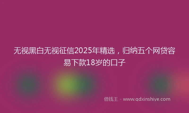 无视黑白无视征信2025年精选，归纳五个网贷容易下款18岁的口子