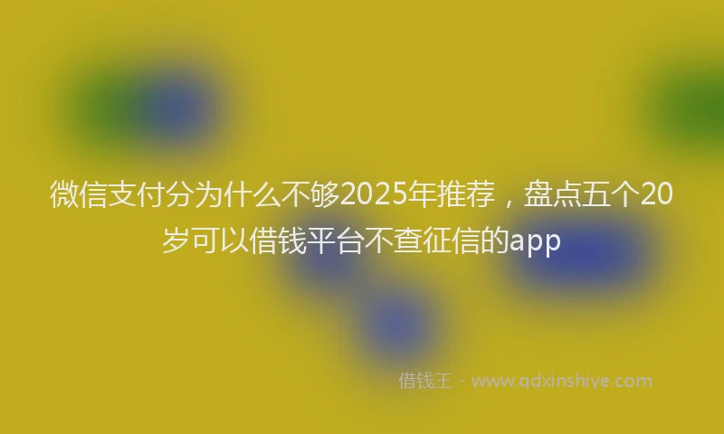 微信支付分为什么不够2025年推荐，盘点五个20岁可以借钱平台不查征信的app