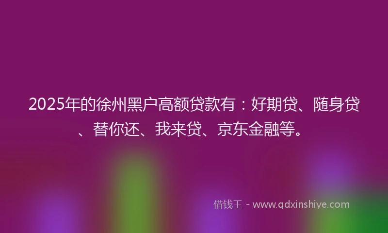 2025年的徐州黑户高额贷款有：好期贷、随身贷、替你还、我来贷、京东金融等。