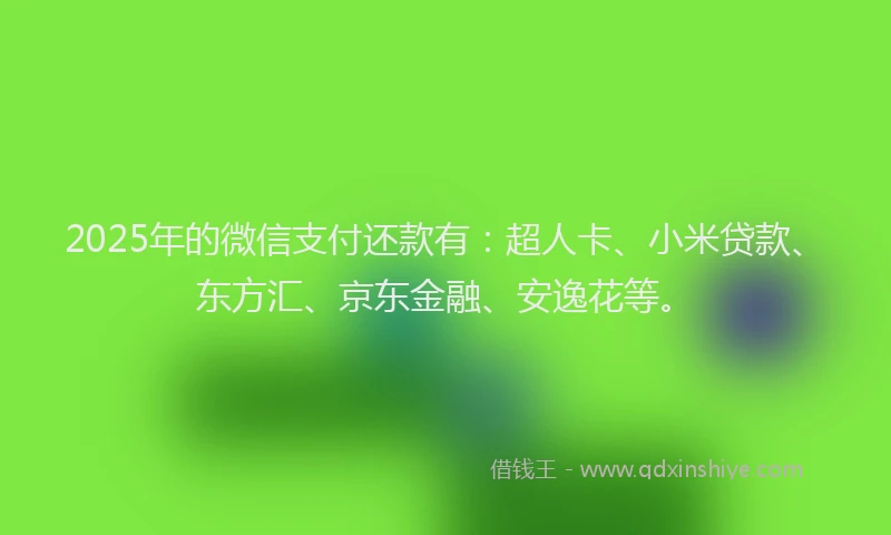 2025年的微信支付还款有：超人卡、小米贷款、东方汇、京东金融、安逸花等。