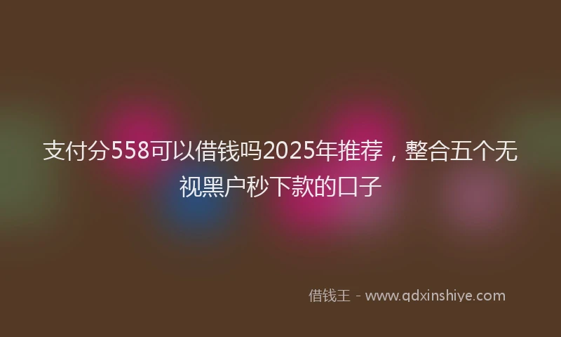 支付分558可以借钱吗2025年推荐，整合五个无视黑户秒下款的口子
