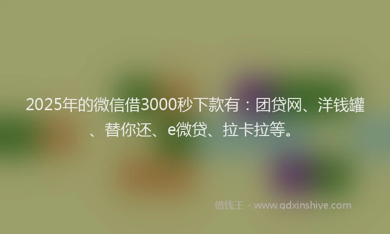2025年的微信借3000秒下款有：团贷网、洋钱罐、替你还、e微贷、拉卡拉等。