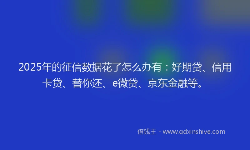 2025年的征信数据花了怎么办有：好期贷、信用卡贷、替你还、e微贷、京东金融等。