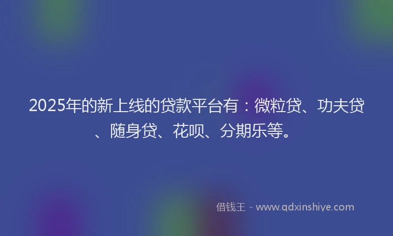 2025年的新上线的贷款平台有：微粒贷、功夫贷、随身贷、花呗、分期乐等。