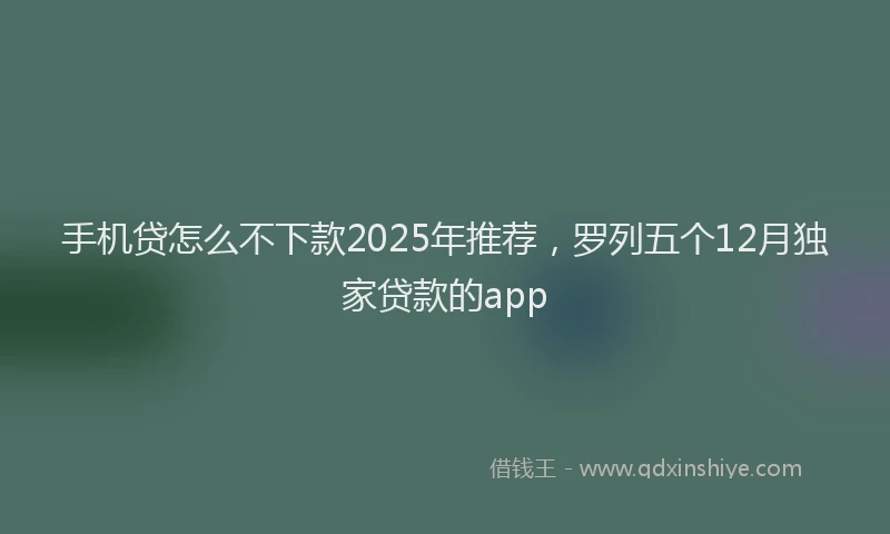 手机贷怎么不下款2025年推荐，罗列五个12月独家贷款的app