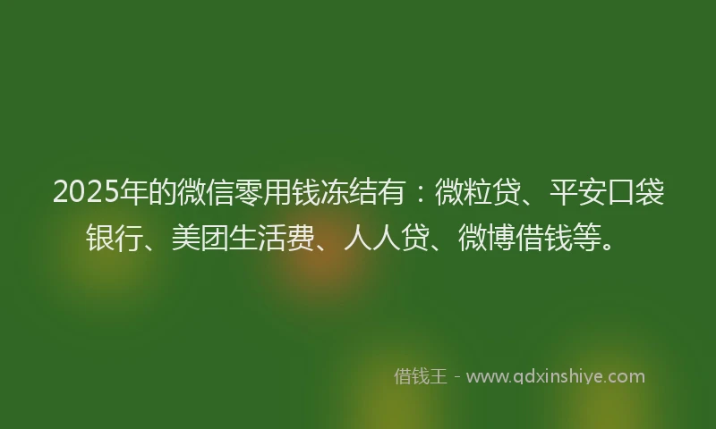 2025年的微信零用钱冻结有：微粒贷、平安口袋银行、美团生活费、人人贷、微博借钱等。