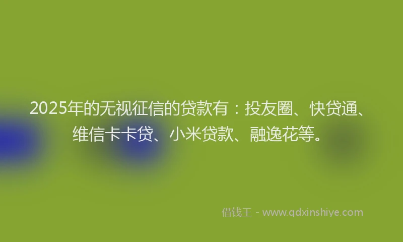 2025年的无视征信的贷款有：投友圈、快贷通、维信卡卡贷、小米贷款、融逸花等。
