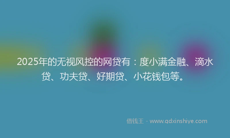 2025年的无视风控的网贷有：度小满金融、滴水贷、功夫贷、好期贷、小花钱包等。
