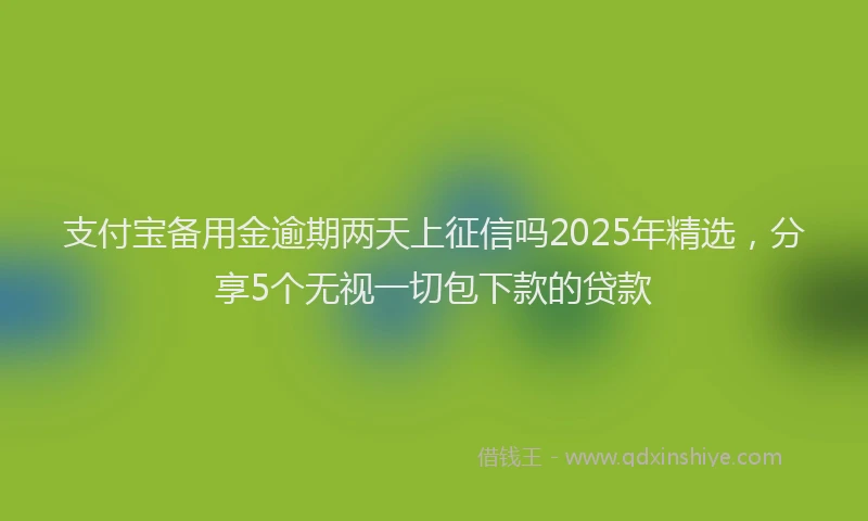 支付宝备用金逾期两天上征信吗2025年精选，分享5个无视一切包下款的贷款