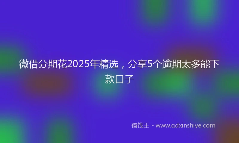 微借分期花2025年精选，分享5个逾期太多能下款口子