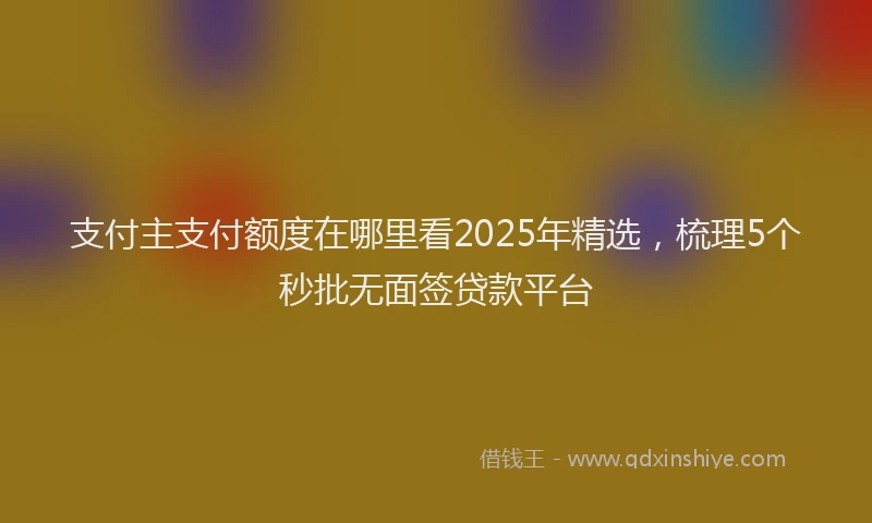 支付主支付额度在哪里看2025年精选，梳理5个秒批无面签贷款平台
