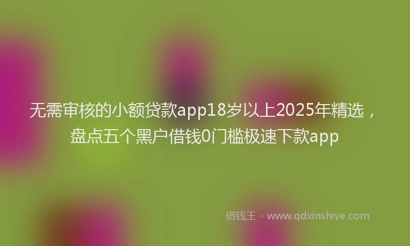 无需审核的小额贷款app18岁以上2025年精选，盘点五个黑户借钱0门槛极速下款app