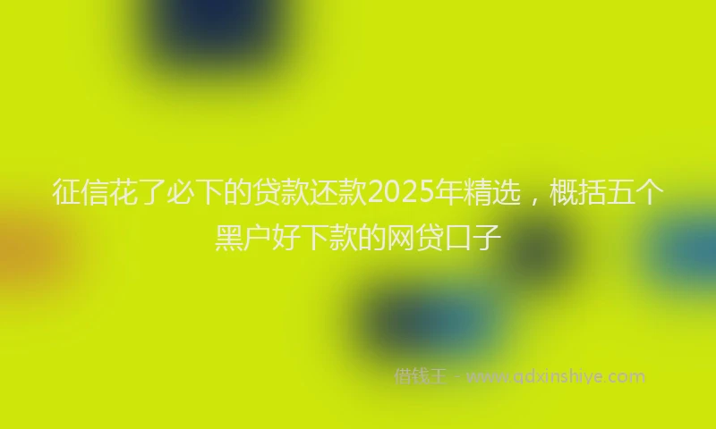 征信花了必下的贷款还款2025年精选，概括五个黑户好下款的网贷口子
