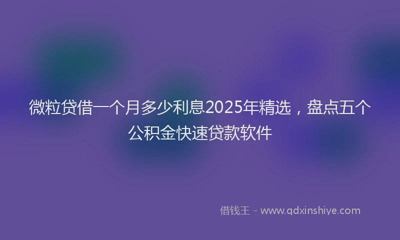 微粒贷借一个月多少利息2025年精选，盘点五个公积金快速贷款软件
