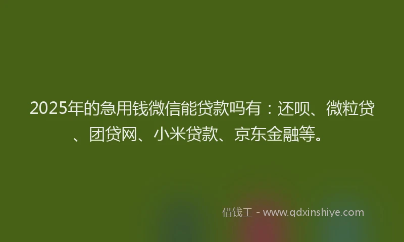 2025年的急用钱微信能贷款吗有：还呗、微粒贷、团贷网、小米贷款、京东金融等。