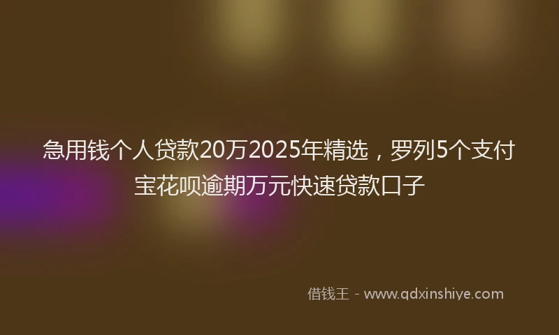 急用钱个人贷款20万2025年精选，罗列5个支付宝花呗逾期万元快速贷款口子