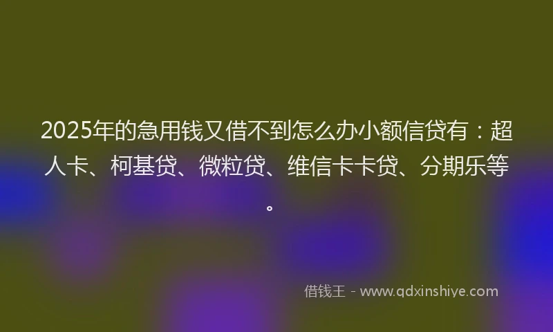 2025年的急用钱又借不到怎么办小额信贷有：超人卡、柯基贷、微粒贷、维信卡卡贷、分期乐等。