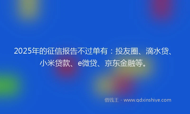 2025年的征信报告不过单有：投友圈、滴水贷、小米贷款、e微贷、京东金融等。
