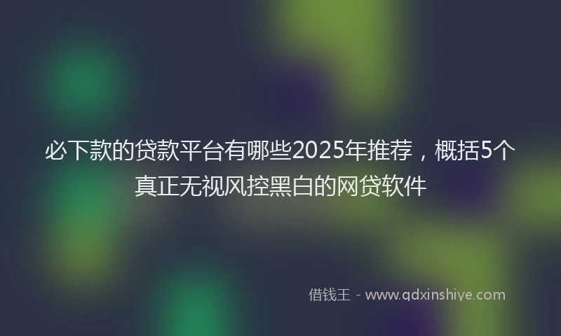 必下款的贷款平台有哪些2025年推荐，概括5个真正无视风控黑白的网贷软件