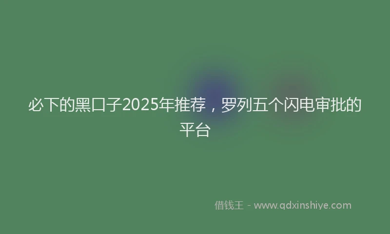 必下的黑口子2025年推荐，罗列五个闪电审批的平台
