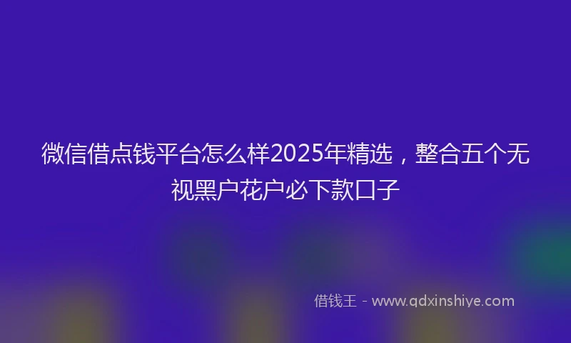 微信借点钱平台怎么样2025年精选，整合五个无视黑户花户必下款口子