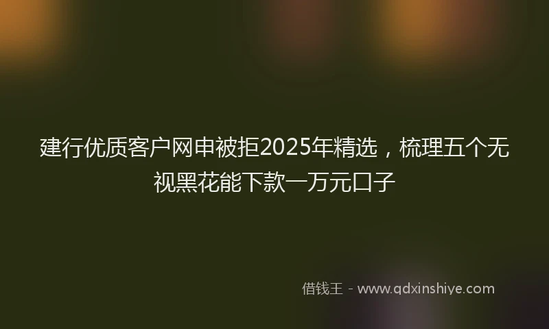 建行优质客户网申被拒2025年精选，梳理五个无视黑花能下款一万元口子