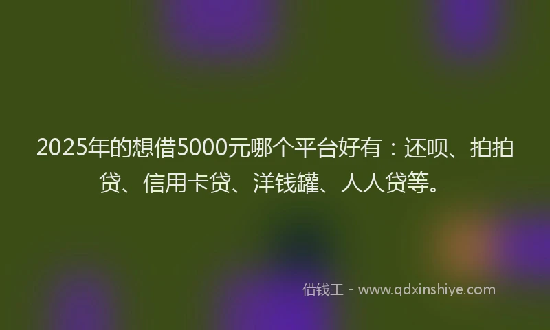 2025年的想借5000元哪个平台好有：还呗、拍拍贷、信用卡贷、洋钱罐、人人贷等。